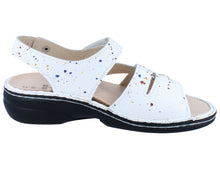 Load image into Gallery viewer, GOMERA